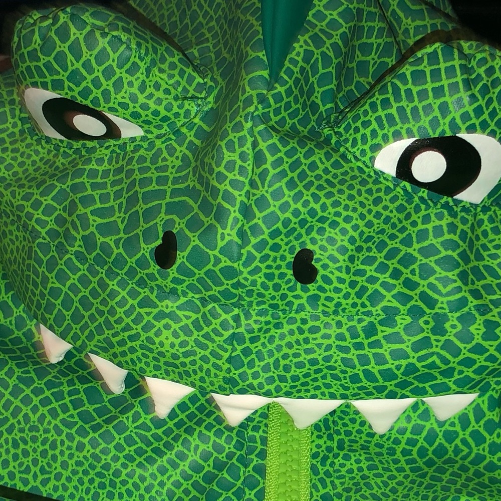 Dinosaur Raincoat
